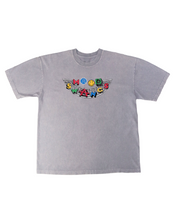 Load image into Gallery viewer, Anniversary Ice Grey Tee
